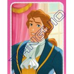 N 98 - image panini disney princesses palace pets