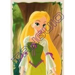 N p11 - image panini disney princesses palace pets
