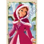 N p7 - image panini disney princesses palace pets