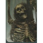 N140 - stickers image panini pirates des caraibes 4 - la fontaine de jouvence