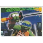 N37 - stickers image panini teenage mutant ninja turttles - tortues ninja
