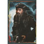 N42 - stickers image panini pirates des caraibes 4 - la fontaine de jouvence