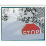 N73 - stickers image panini cars apprenti pilote disney pixar