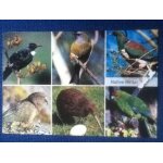 Native birds of new zealand Native birds of new zealand