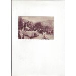 Nice - carnaval - rose marie - ref 000 223