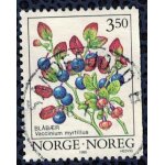 Norv�ge 1995 oblit�r� rond used myrtille ou airelle vaccinium myrtillus myrtillier commun