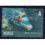 Norv�ge 2006 oblit�r� rond used poisson fish labre m�l� coquette labrus bimaculatus
