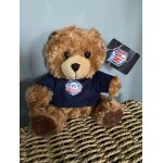 Ours peluche mascotte nfl bear 2014 collector