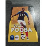 Panini carte foot paul pogba