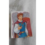 Panini disney princesse glamour princess n 25
