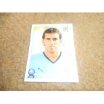 Panini / south afica 2010 / godin / 72