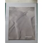 Catalogue patagonia winter 2013