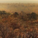 Paysage burkina faso