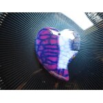 Pendentif coeur en agate, violet et bleu - 5. 4 cm. magnifiques couleurs avec superbe transparence a ...