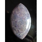 Pendentif ovale en corail fossile , violet et jaune - 4. 3 cm. magnifiques couleurs. lot 2431