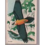 Petite bo�te d'allumettes wwf gypaete barbu