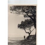 Photo ancienne sur papier leonar leigrano - noir et blanc - cadre blanc - paysage et personnage regardant ...