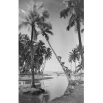 Photo argentique papier baryt noir et blanc ilford 310g enfant tahiti 40x60cm tirage rcent d'aprs ...