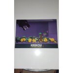Photo d'exploitation kirikou