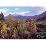 Photo francis debaisieux