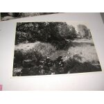 Photo paysage ruisseau campagne Photo paysage ruisseau campagne