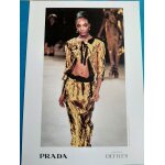 Photographie du d�fil� pr�t - a - porter  ; prada  ; , printemps - et� 2009