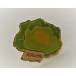 Pins alimentation knorr soupe aux choux / sign� arcane
