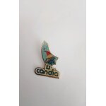 Pin's candia
