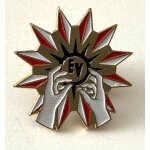 Pins etoile ev avec mains / sign� pins top