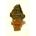 Pins grosfillex arbre dans pot de fleur