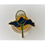 Pins ile d'oleron saint pierre sports tennis oleron raquette cayenne sign� challenge oleron / neuf