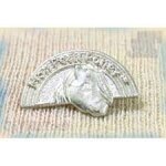 Pin's mon petit poney