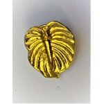 Pins plante exotique fleur d'anthurium Pins plante exotique fleur d'anthurium