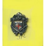 Superbe pins pompier bram france fr312