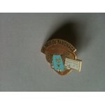 Pin's les pros du ramonage