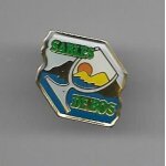 Pins sables de bos ville de pessac 33 gironde / sign� france pin's