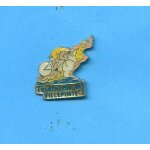 Pins triathlon villepinte fb559