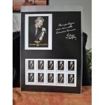 Pla che timbres johnny hallyday collector lot de 4 tr�s bon etat sous pochettes