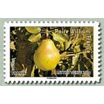 Poire william france