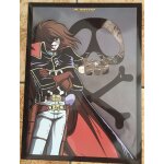Poster albator