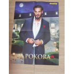 Poster m. pokora 58cm / 41cm one direction
