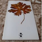 Publicit� pharmaceutique des laboratoires salvoxyl   eutergine correcteur du vieillissement vasculaire  ...