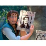 Raiponce (tangled) : jeu de 6 photos d'exploitation cin�matographique - format 20x30 cm - de glen keane, ...