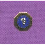 Rare pins judo club mandres les roses egf m321