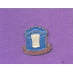 Rare pins pin's toque de cuisinier les lycees hoteliers n256