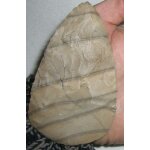 Reproduction de biface acheuléen réalisé a partir d'un vrai silex Reproduction de biface acheuléen réalisé a partir d'un vrai silex