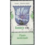 Roumanie 2023 oblitr used plantes mdicinales cichorium intybus chicore sauvage y&t ro 6962 su