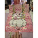 Sac diddl