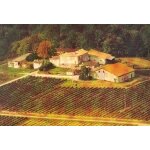 Saint christoly de blaye chateau jussas  (gironde) 1975