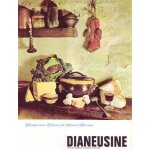 Soupe aux choux de saint sernin pour le medicament dianeusine